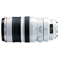 Canon EF 100-400mm f/4.5-5.6 L IS USM