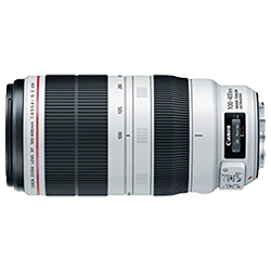 Canon EF 100-400mm f/4.5-5.6L IS USM