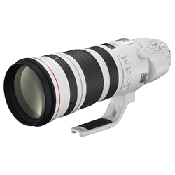 Canon EF 200-400mm f/4L IS USM Extension 1.4x