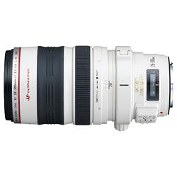 Canon EF 28-300mm f/3.5-5.6 L IS USM