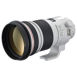 Canon EF 300mm f/2.8 L IS USM