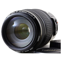 Canon EF 75-300mm f/4-5.6 IS USM