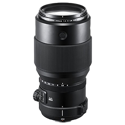 Fujifilm Fujinon GF 250mm f/4 R LM OIS WR