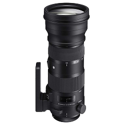 Sigma 150-600 f/5-6.3 DG OS