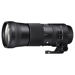 Sigma 150-600mm f/5-6.3 DG OS