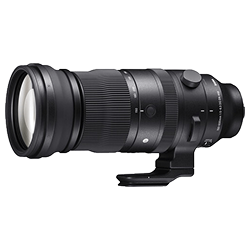 Sigma 150-600mm f/5-6.3 DN