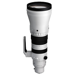 Sigma 300-600mm f/4 DG OS