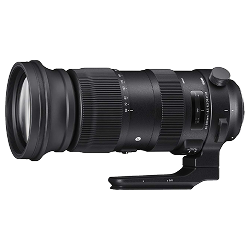 Sigma 60-600mm f/4.5-6.3 DG OS