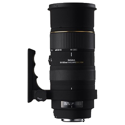 Sigma AF 50-500mm f/4-6.3 APO